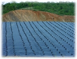 Geomembrane for Protection of Cell Berm and Leachate Subdrainage System